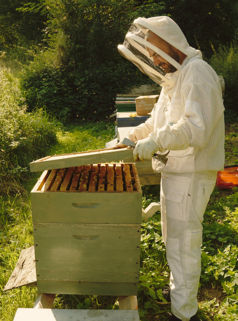 Bienenkontrolle Imkerei Prott